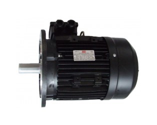 Burner motor - 4
